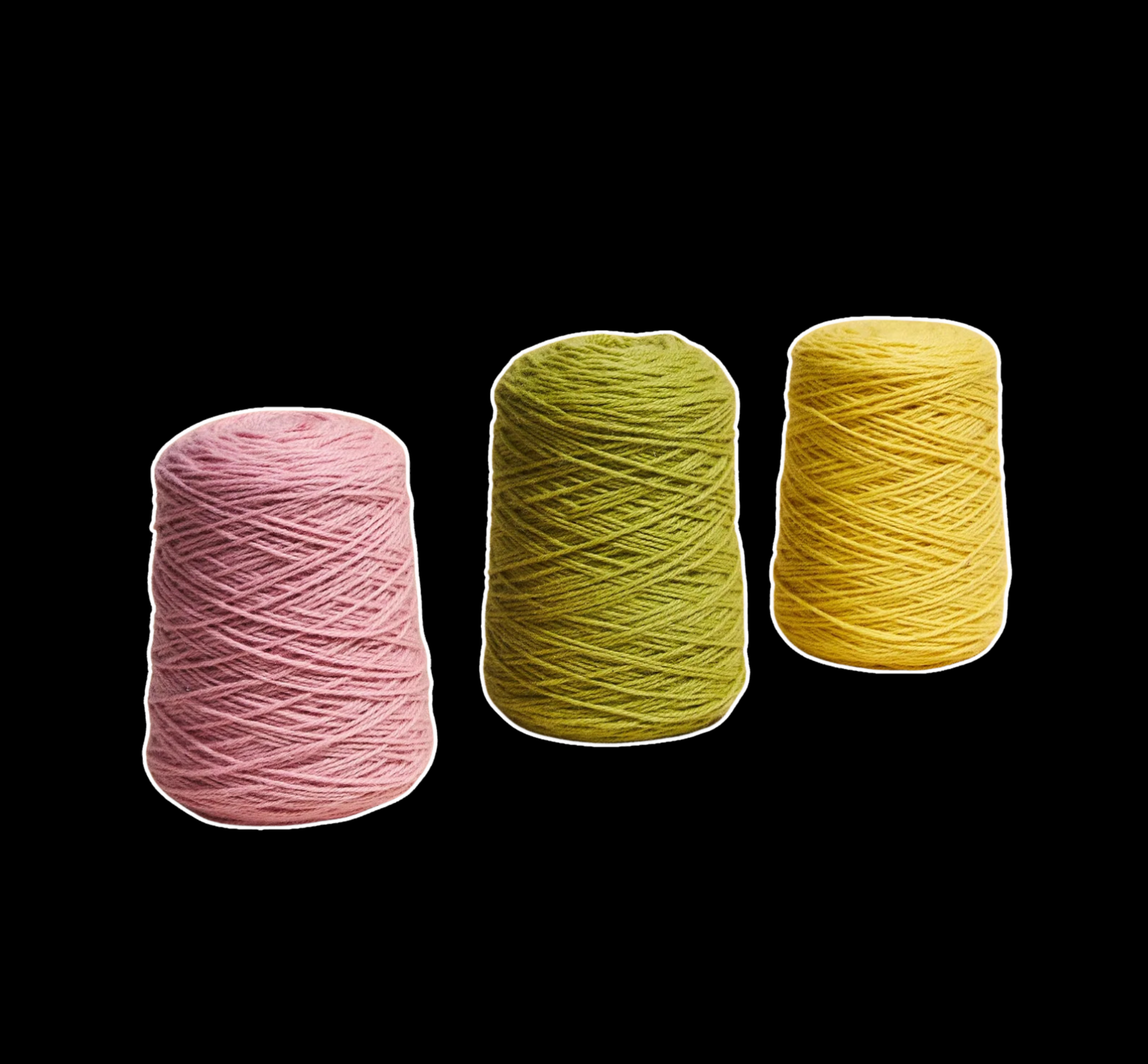 Cônes de Nouvelle-Zélande